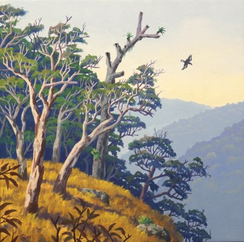 Currawong and Dry Ridge