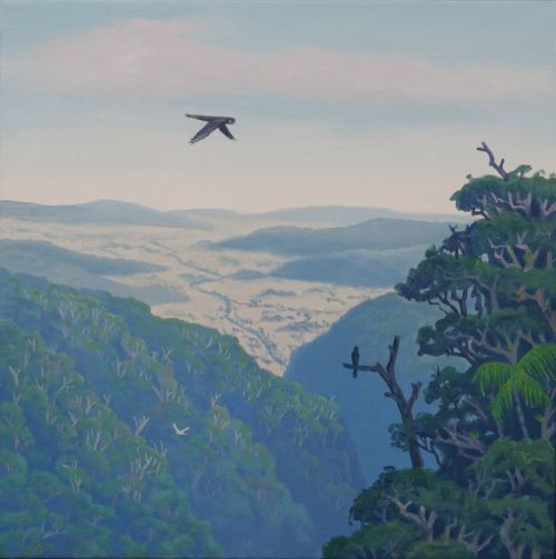 Birds Over the Gorge